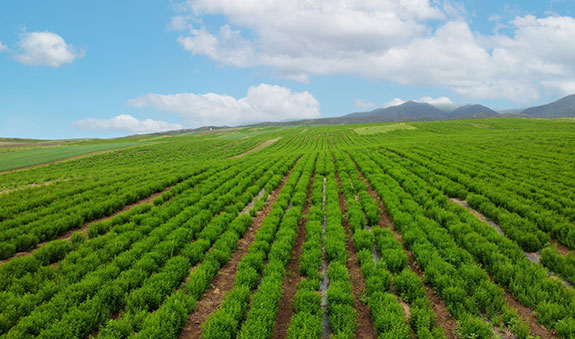 人生就是博_首页