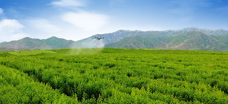 人生就是博_首页